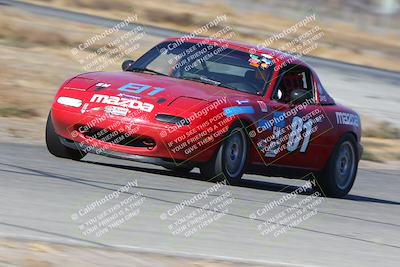 media/Nov-16-2024-CalClub SCCA (Sat) [[641f3b2761]]/Group 4/Star Mazda (Qual)/